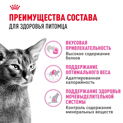 Сухой корм Royal Canin Protein Exigent для кошек фото 3