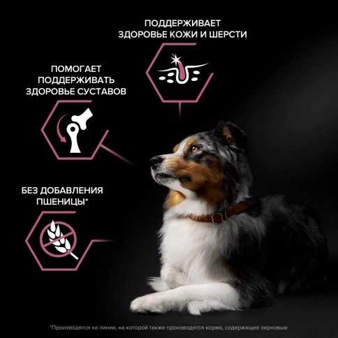 Сухой корм PRO PLAN Salmon для взрослых собак средних пород с чувствительной кожей, с высоким содержанием лосося, 14 кг фото 2