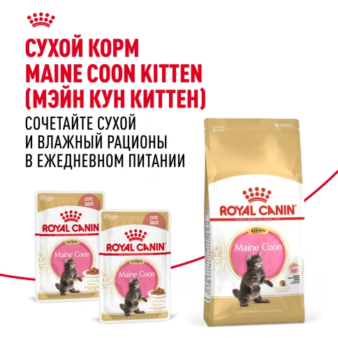 Влажный корм Royal Canin Maine Coon Kitten в соусе для котят породы мейн-кун и других крупных пород старше 3 месяцев, пауч, 85 г фото 10
