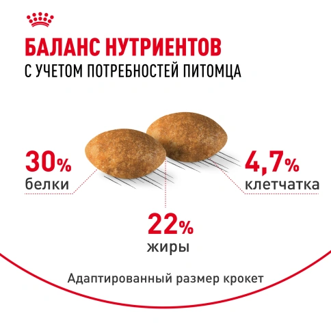 Сухой корм Royal Canin Persian для кошек персидской породы, 400 г фото 4