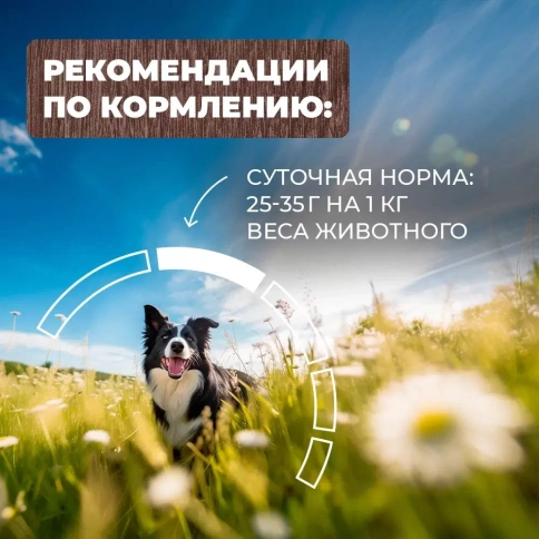 Влажный корм Родные корма Chicken для собак, курочка по-елецки, 410 г фото 5