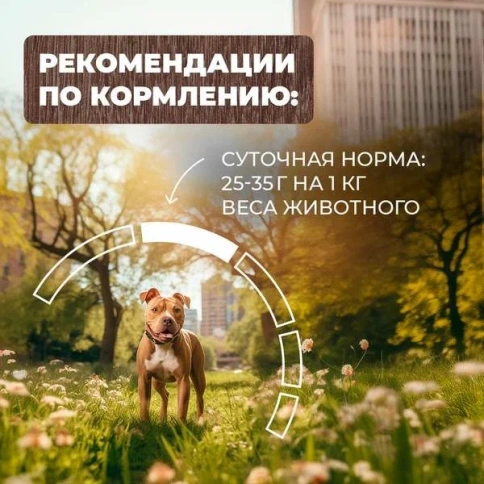 Влажный корм Родные корма для собак, скоблянка мясная по-городецки, 410 г фото 5