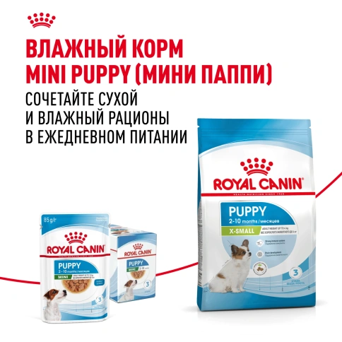 Сухой корм Royal Canin X-Small Puppy для щенков, 500 г фото 10