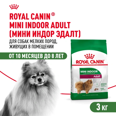 Сухой корм Royal Canin Mini Indoor Adult для собак, 3 кг фото 1