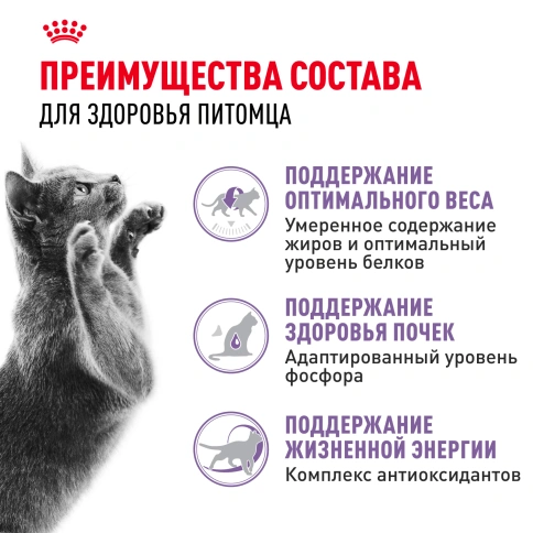Сухой корм Royal Canin Sterilised 7+ для стерилизованных кошек и кастрированных котов, 3.5 кг фото 3