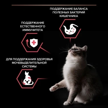 Сухой корм PRO PLAN Nature Elements Chicken для взрослых стерилизованных кошек и кастрированных котов, с высоким содержанием курицы, 1,4 кг фото 2