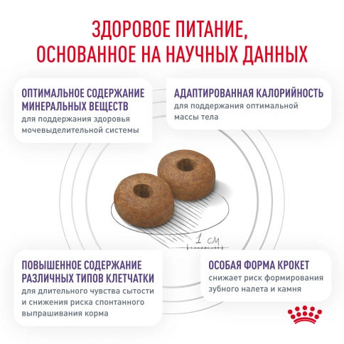 Сухой корм Royal Canin Neutered Adult Small Dogs для стерилизованных собак мелких пород, 3,5 кг фото 3