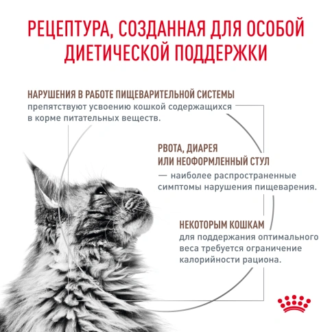 Сухой корм Royal Canin Gastrointestinal Moderate Calorie для кошек, 350 г фото 4