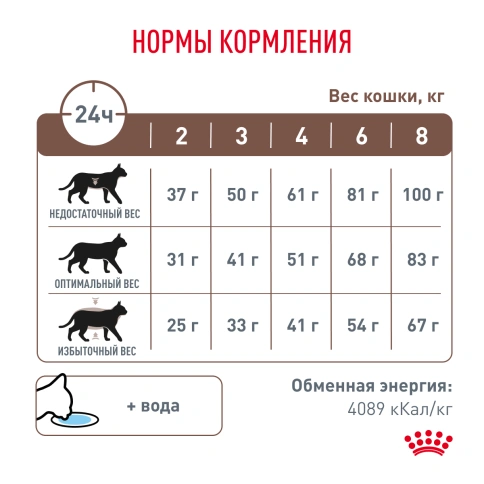 Сухой корм Royal Canin Gastrointestinal для кошек, 2 кг фото 6