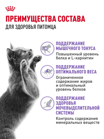 Сухой корм Royal Canin Sterilised для кастрированных котов и стерилизованных кошек, 1,2 кг фото 24