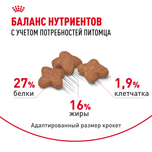 Сухой корм Royal Canin Mini Adult для взрослых собак, 4 кг фото 4