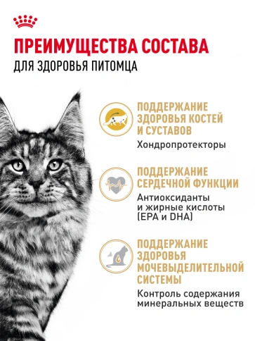 Сухой корм Royal Canin Maine Coon для кошек, 2 кг фото 24
