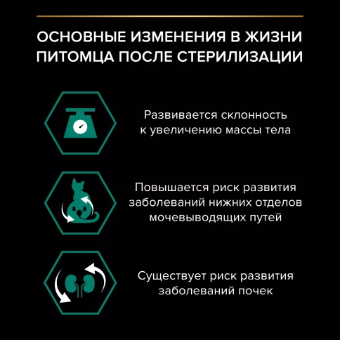 Сухой корм PRO PLAN Salmon для взрослых стерилизованных кошек и кастрированных котов, с высоким содержанием лосося, 400 г фото 3
