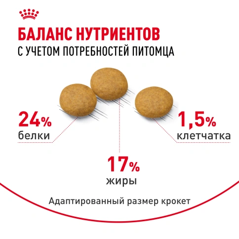 Сухой корм Royal Canin Medium Dermacomfort для собак, 10 кг фото 4