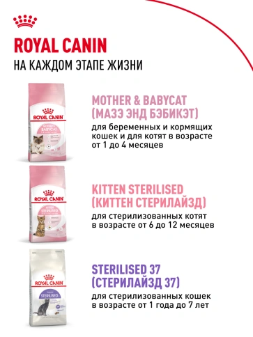 Сухой корм Royal Canin Kitten для котят, 1,2 кг фото 15