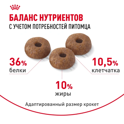 Сухой корм Royal Canin Light Weight Care для кошек, 1,5 кг фото 4
