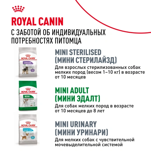 Сухой корм Royal Canin Mini Adult 8+ для пожилых собак, 2 кг фото 8