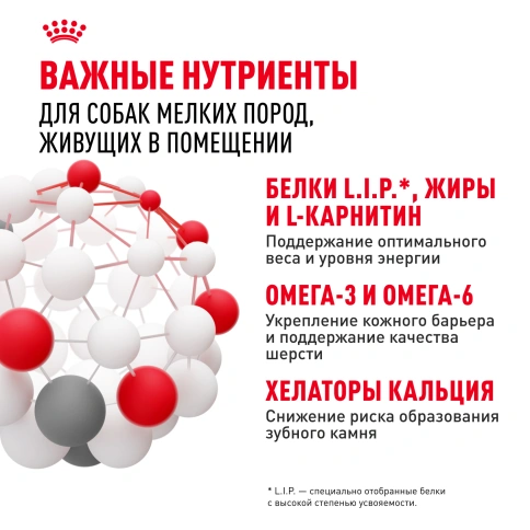 Сухой корм Royal Canin Mini Indoor Adult для собак, 500 г фото 5