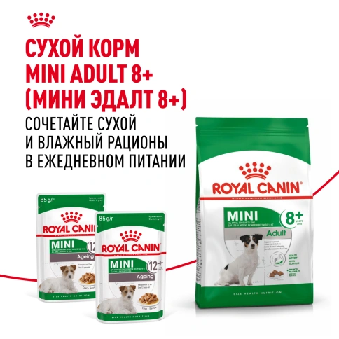 Влажный корм Royal Canin Mini Ageing 12+ в соусе для стареющих собак мелких пород старше 12 лет, пауч, 85 г фото 8