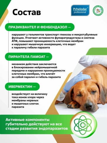 Антигельминтик Пчелодар для собак, средних пород, Фенпраз Форте суспензия, 10 мл фото 3