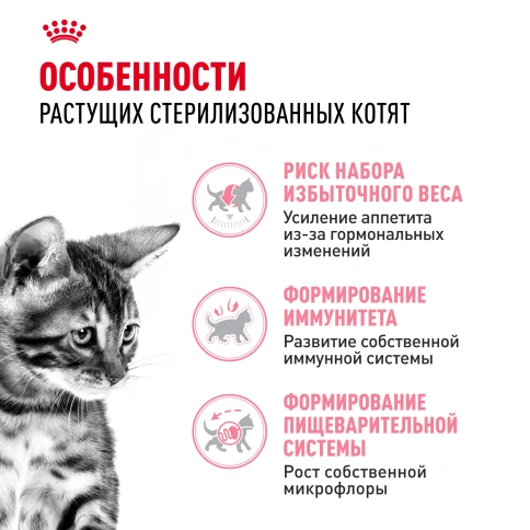 Сухой корм Royal Canin Kitten Sterilised для котят, 3,5 кг фото 2