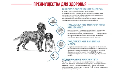 Сухой корм Royal Canin Medium Puppy для щенков, 3 кг фото 14