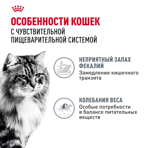 Влажный корм Royal Canin Digest Sensitive в соусе для улучшения пищеварения у взрослых кошек старше 1 года, пауч, 85 г фото 2