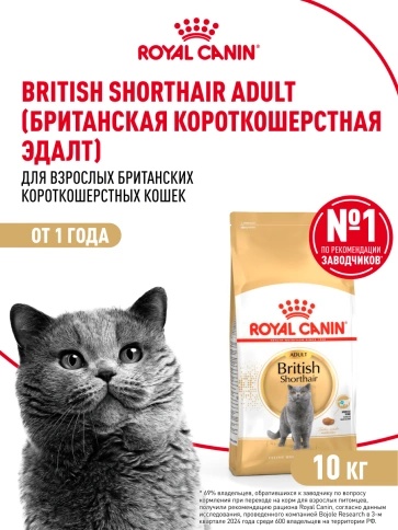 Сухой корм Royal Canin British Shorthair для кошек породы британская короткошерстная, 10 кг фото 13