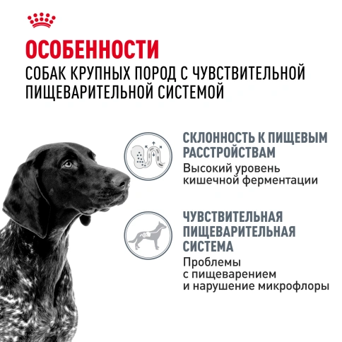Сухой корм Royal Canin Maxi Digestive Care для собак, 12 кг фото 2