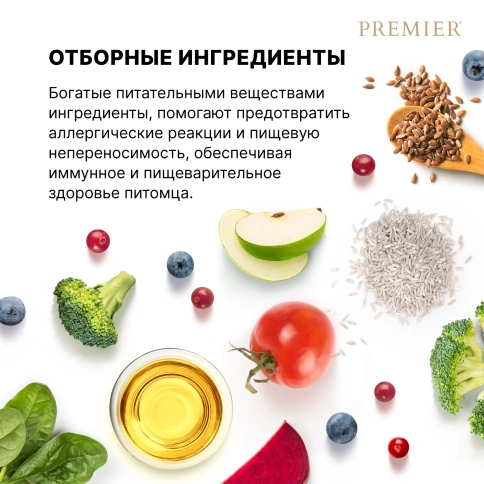 Сухой корм Premier Cat Salmon & Turkey Sterilised для стерилизованных кошек, с лососем и индейкой, 2 кг фото 7