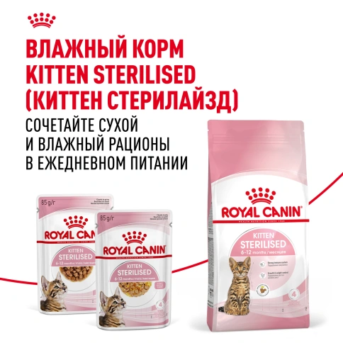 Сухой корм Royal Canin Kitten Sterilised для котят, 3,5 кг фото 8