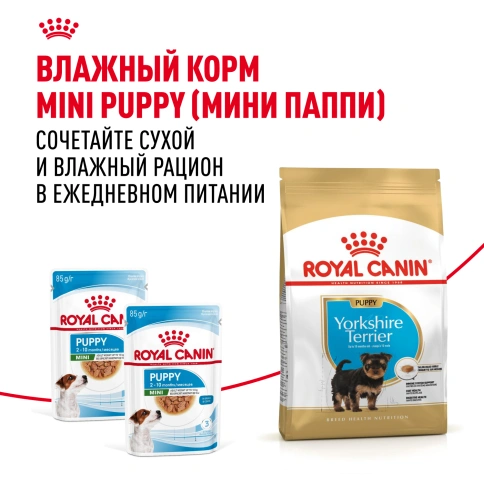Сухой корм Royal Canin Yorkshire Terrier Puppy для щенков, 1,5 кг фото 9