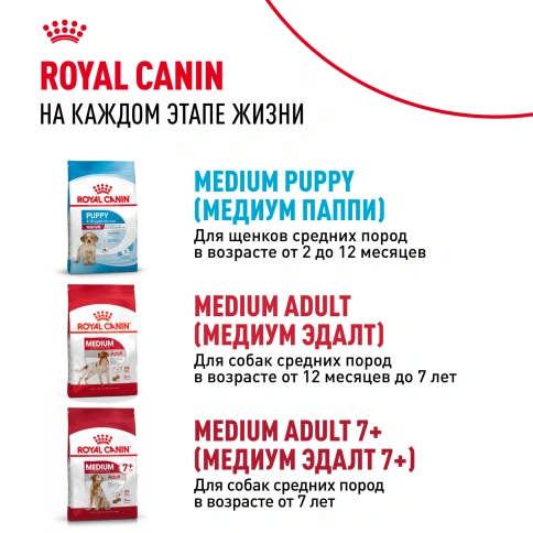 Сухой корм Royal Canin Medium Starter Mother & Babydog для щенков и кормящих сук, 4 кг фото 9