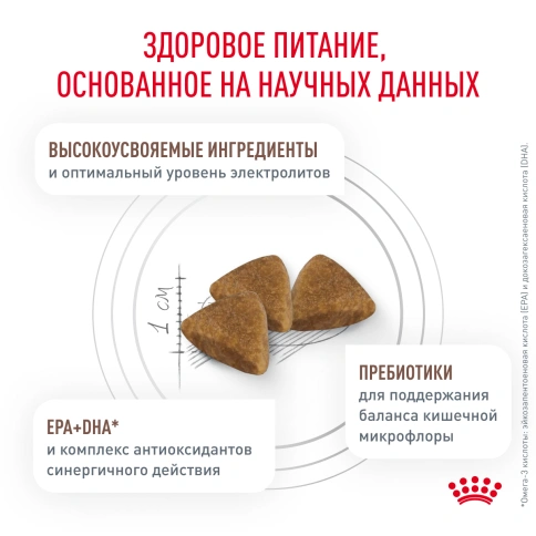 Сухой корм Royal Canin Gastrointestinal для кошек, 350 г фото 3