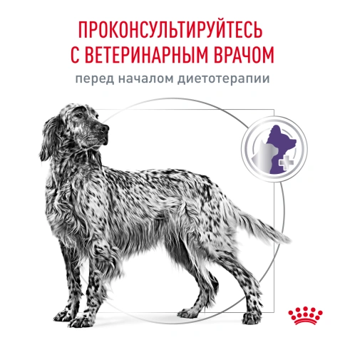 Сухой корм Royal Canin Neutered Adult Medium Dogs для стерилизованных собак средних пород, 9 кг фото 7