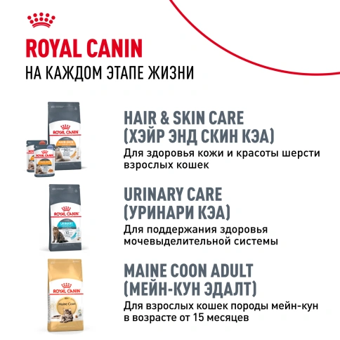 Сухой корм Royal Canin Kitten Maine Coon для котят, 10 кг фото 9