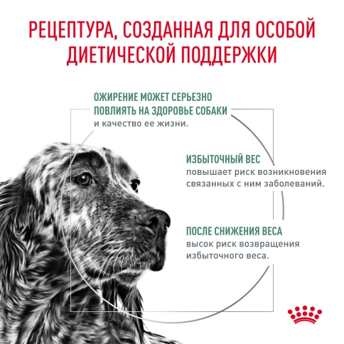 Сухой корм Royal Canin Satiety Weight Management для собак для снижение веса, 12 кг фото 3