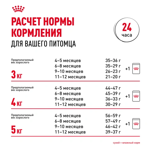 Сухой корм Royal Canin Kitten British Shorthair для котят, 10 кг фото 8