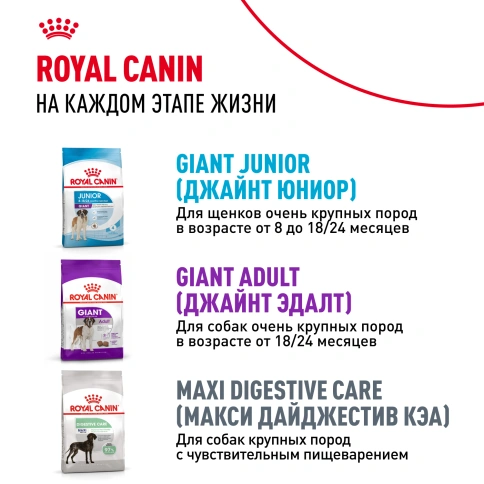 Сухой корм Royal Canin Giant Puppy для щенков, 15 кг фото 9