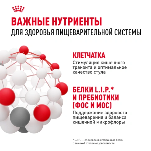 Сухой корм Royal Canin Maxi Digestive Care для собак, 12 кг фото 5