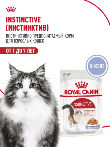 Влажный корм Royal Canin Instinctive в желе для взрослых кошек старше 1 года, пауч, 85 г фото 15