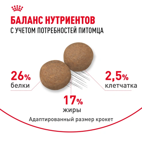 Сухой корм Royal Canin Maxi Adult 5+ для собак, 15 кг фото 4