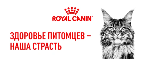 Сухой корм Royal Canin Sterilised для кастрированных котов и стерилизованных кошек, 400 г фото 8