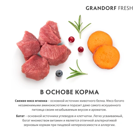 Сухой корм Grandorf Fresh Dog Lamb & Sweet Potato для юниоров средних и крупных пород беременных и кормящих собак беззерновой ягненок, с бататом, 10 кг фото 7