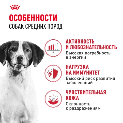 Сухой корм Royal Canin Medium Adult для собак, 3 кг фото 2