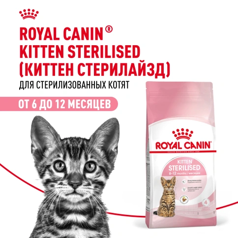Сухой корм Royal Canin Kitten Sterilised для котят, 3,5 кг фото 12