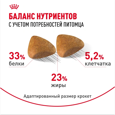 Сухой корм Royal Canin Sphynx для кошек породы сфинкс, 10 кг фото 4