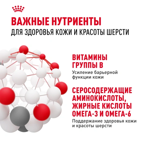 Сухой корм Royal Canin Hair & Skin Care для кошек, 2 кг фото 5