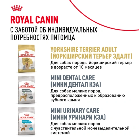 Сухой корм Royal Canin Yorkshire Terrier Adult 8+ для собак породы йоркширский терьер, 1,5 кг фото 11