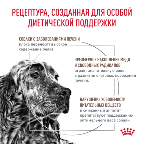 Сухой корм Royal Canin Hepatiс для собак, 12 кг фото 3